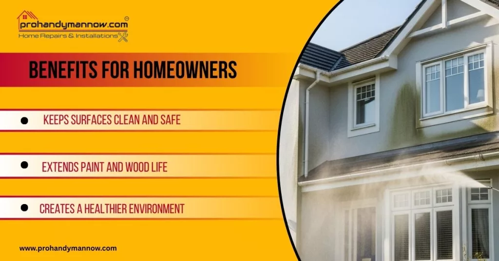 Why Homeowners Swear by Pressure Washing