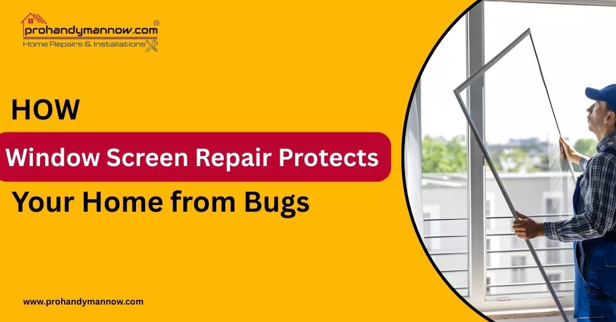 How Window Screen Repair Protects Your Home from Bugs
