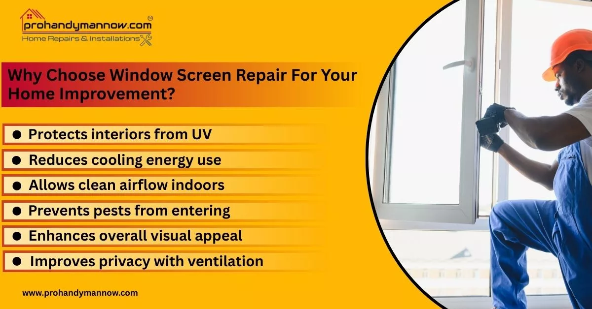 Why Choose Window Screen Repair For Your Home Improvement Why Choose Window Screen Repair For Your Home Improvement