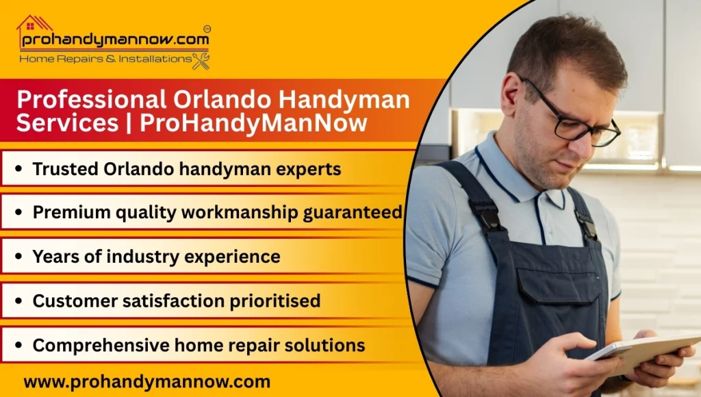 ProHandyManNow ProHandyManNow