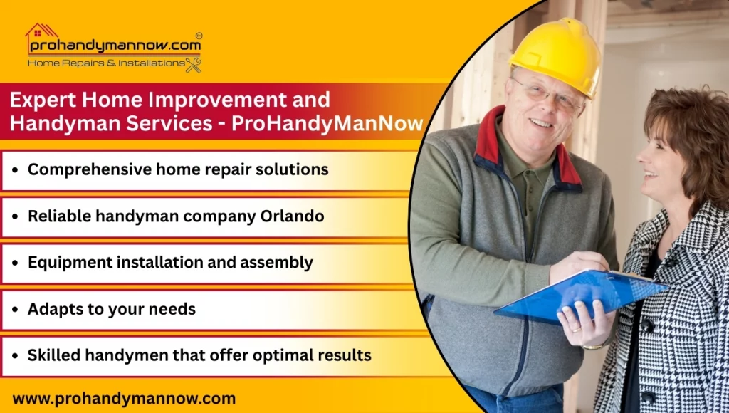 ProHandyManNow ProHandyManNow