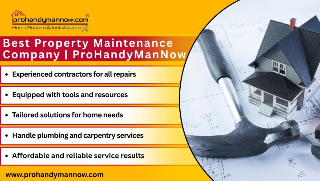 ProHandyManNow