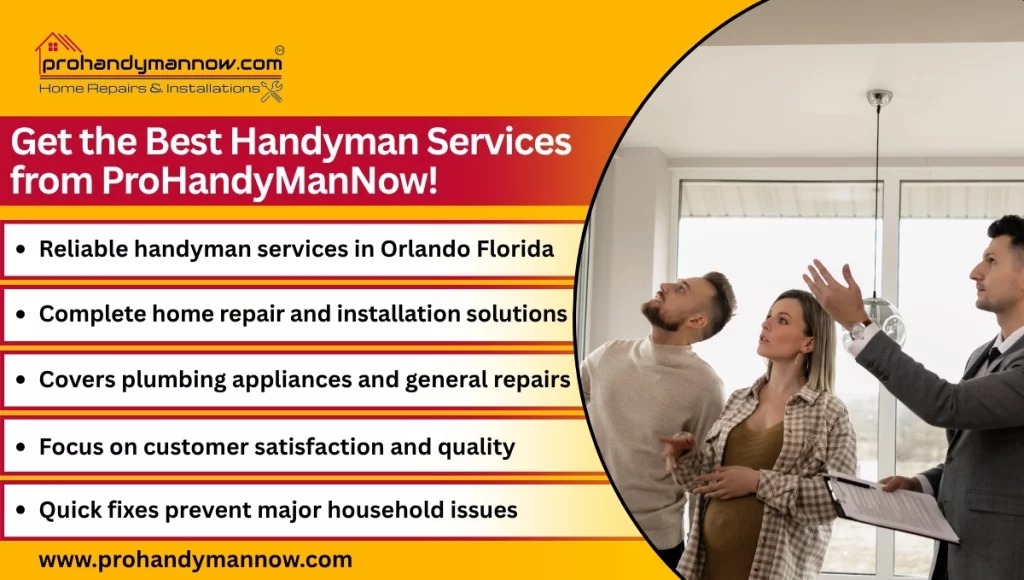 ProHandyManNow ProHandyManNow